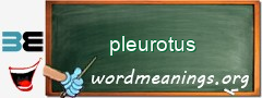 WordMeaning blackboard for pleurotus